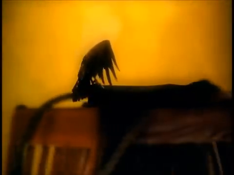 Image for chunk 4