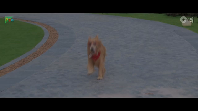 Image for chunk 7