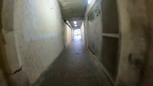 Image for chunk 13