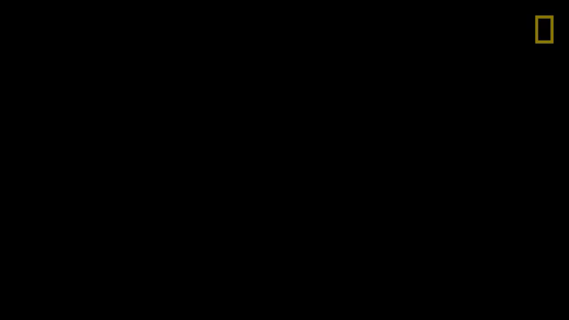 Image for chunk 6