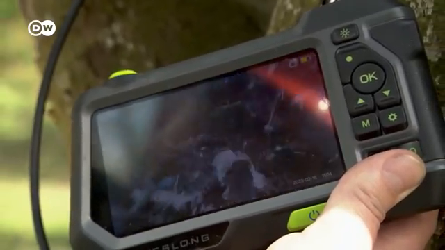 Image for chunk 6