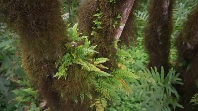 Image for chunk 3