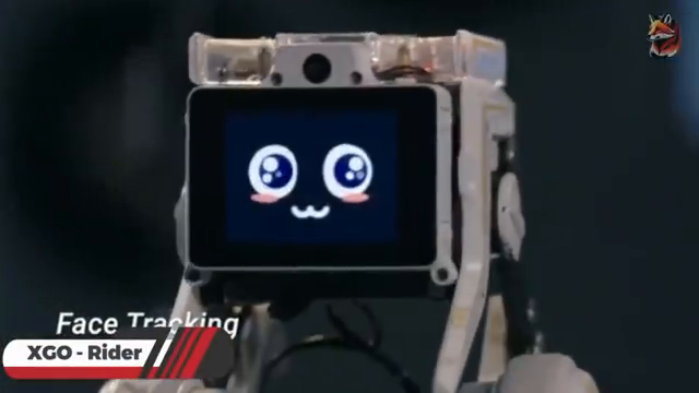 Image for chunk 2