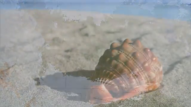 Image for chunk 4