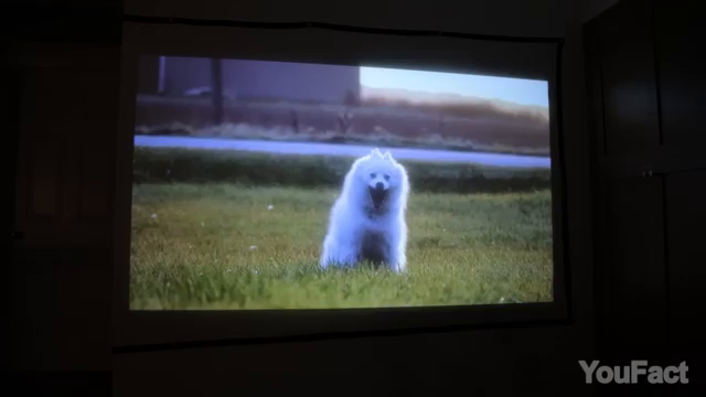Image for chunk 6