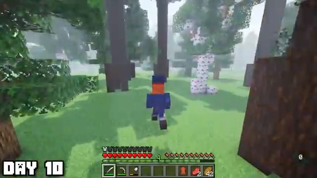 Image for chunk 7