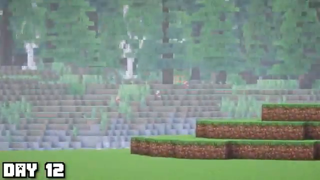 Image for chunk 11