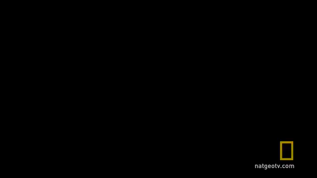 Image for chunk 6