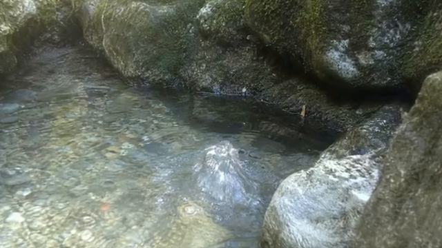 Image for chunk 5